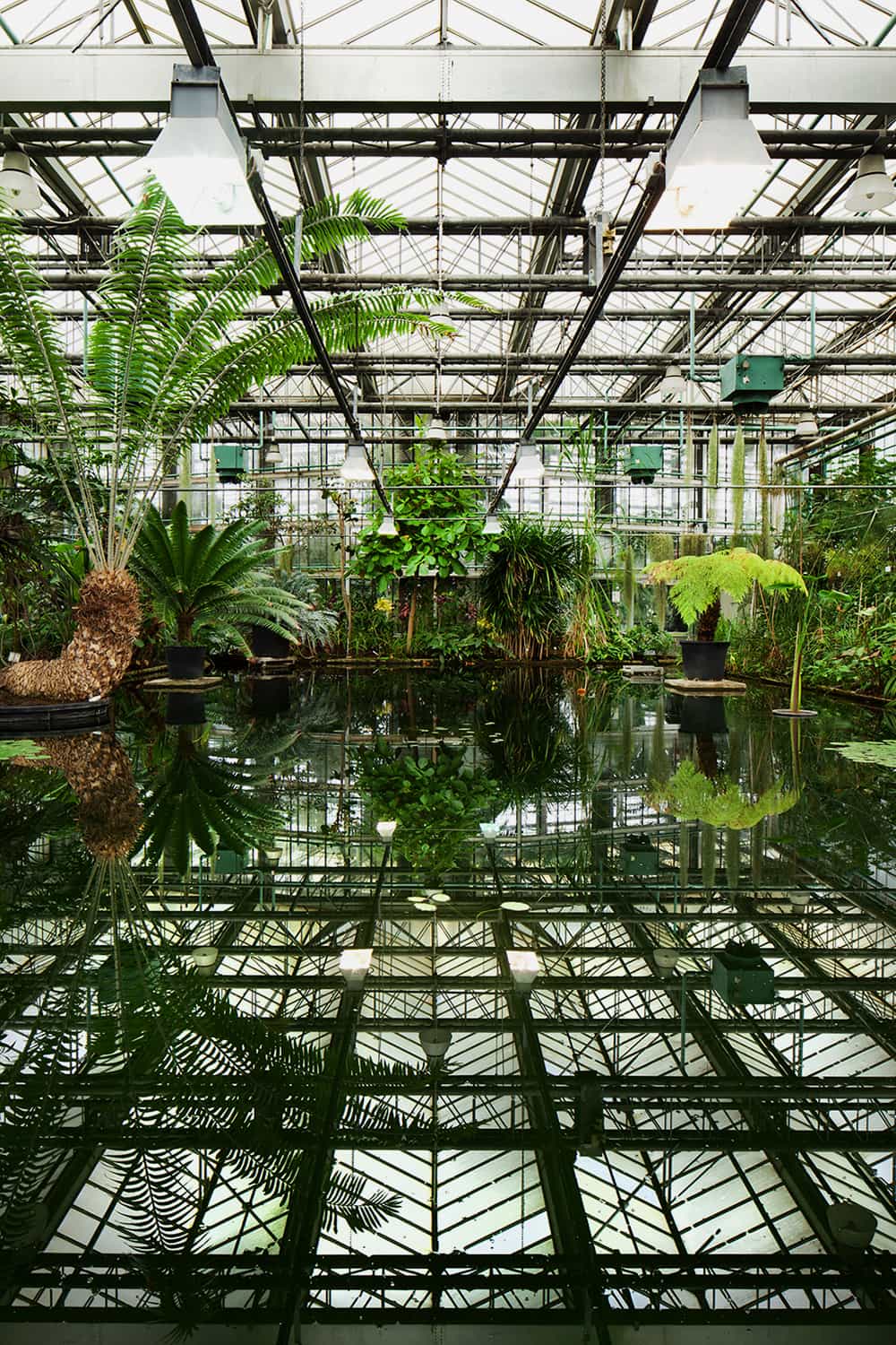 photographie d'architecture de la serre tropicale du jardin botanique de Gand © francois nussbaumer